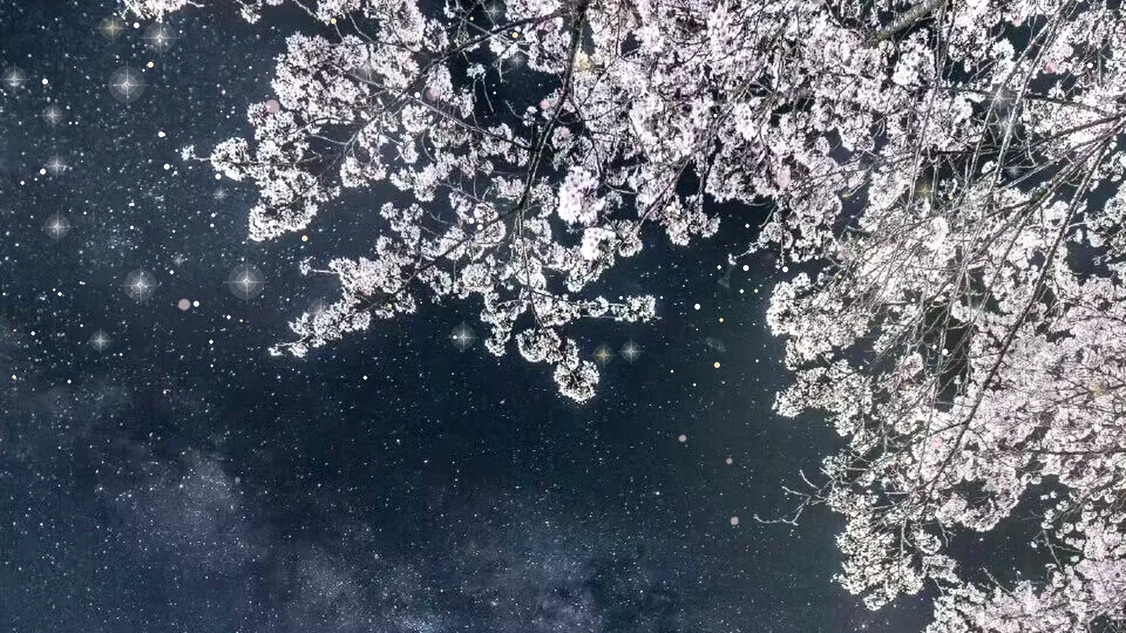繁花似锦繁星闪耀banner